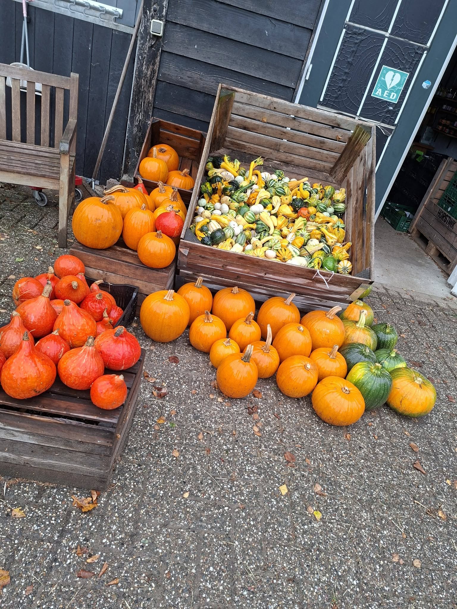 Herfst pompoenen bij Boerderijwinkel Lensink in Aalten-Lintelo